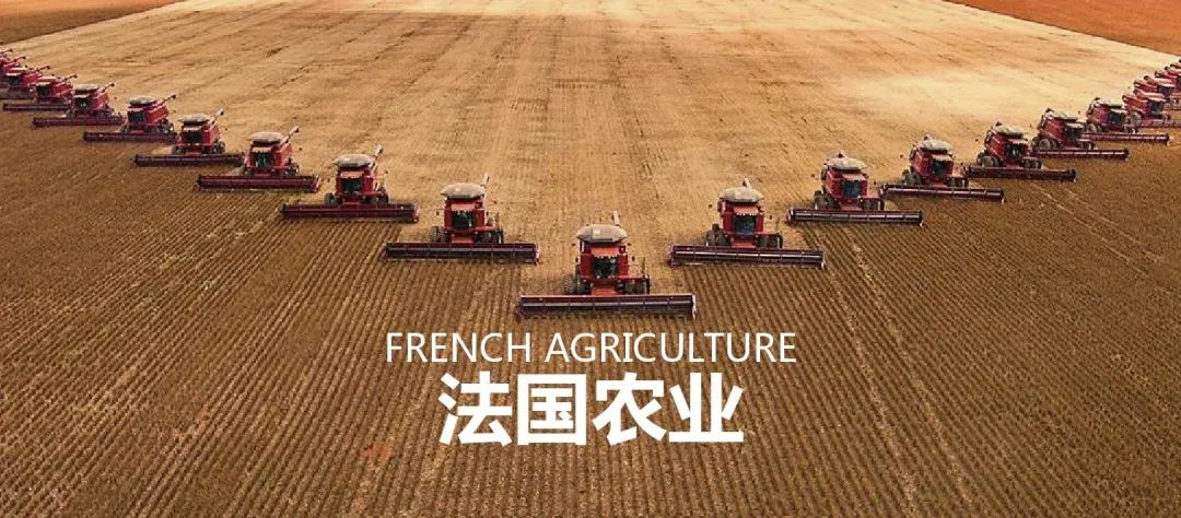 法国农业：欧盟农业大国，靠这6大战略制胜市场